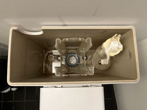 IMG_1722.jpeg IMG_1722.jpeg