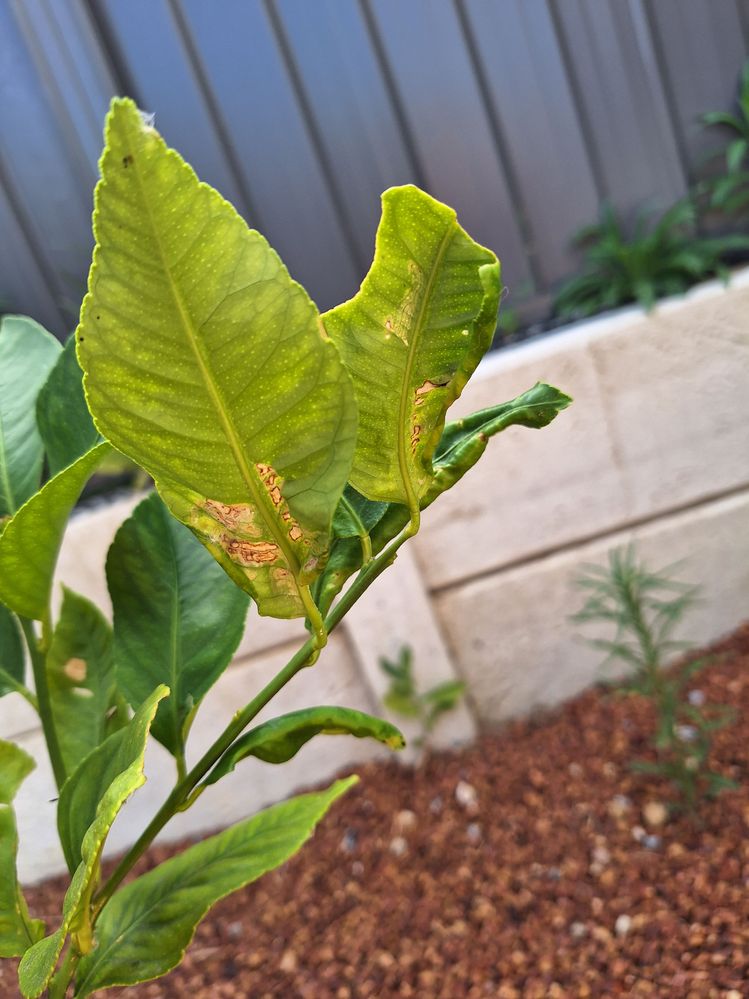 20250101_092840.jpg 20250101_092840.jpg