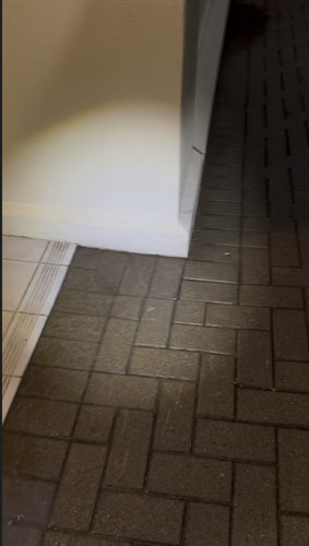 Vincero1_0-1750332494439.png Vincero1_0-1750332494439.png