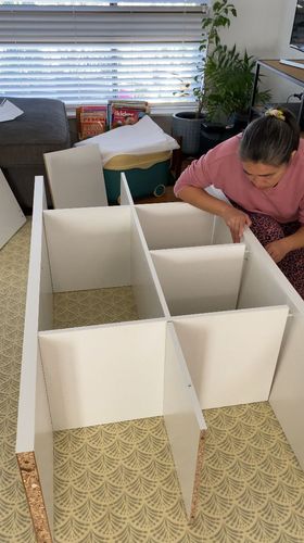 IMG_6929.jpeg IMG_6929.jpeg