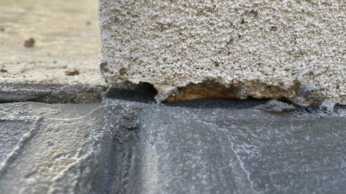 IMG_0619.jpeg IMG_0619.jpeg