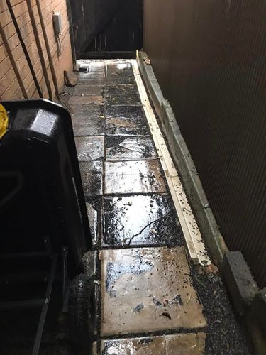 65 04-07-2022.jpg 65 04-07-2022.jpg