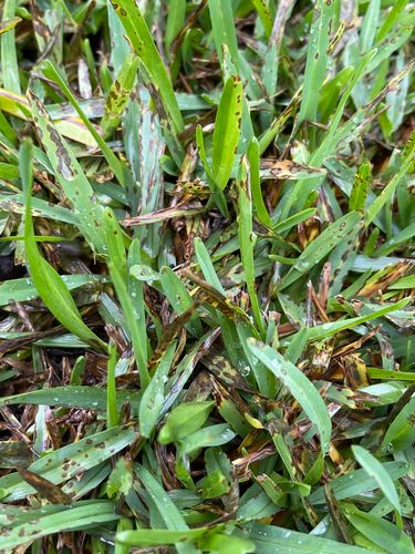 A6994CD4-1DF2-48C6-97CF-851591C01D04.jpeg A6994CD4-1DF2-48C6-97CF-851591C01D04.jpeg