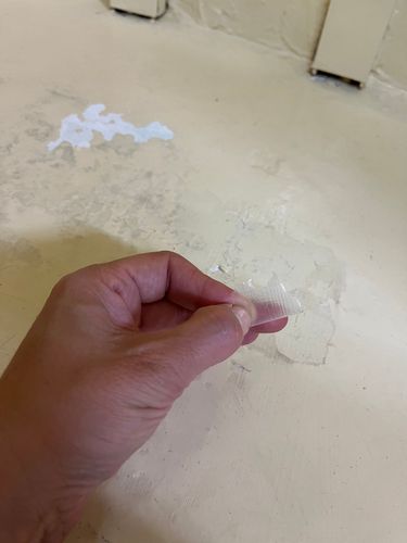 IMG_5470.jpeg IMG_5470.jpeg