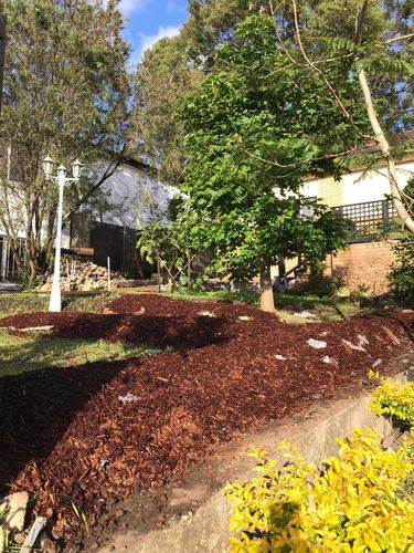 119 05-11-2022.jpg 119 05-11-2022.jpg