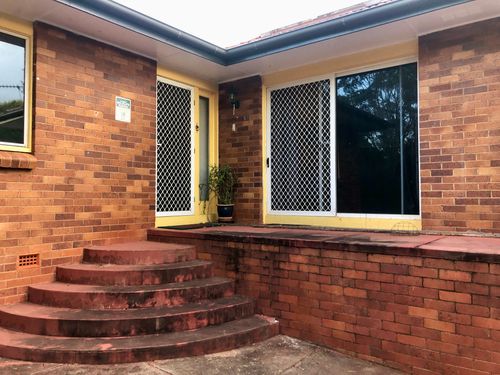 IMG_1481.JPG IMG_1481.JPG