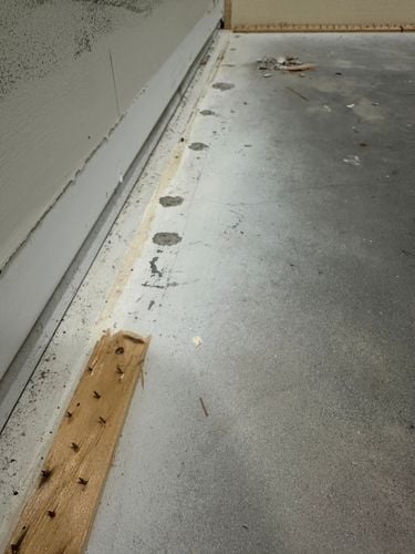 IMG_3798.jpeg IMG_3798.jpeg