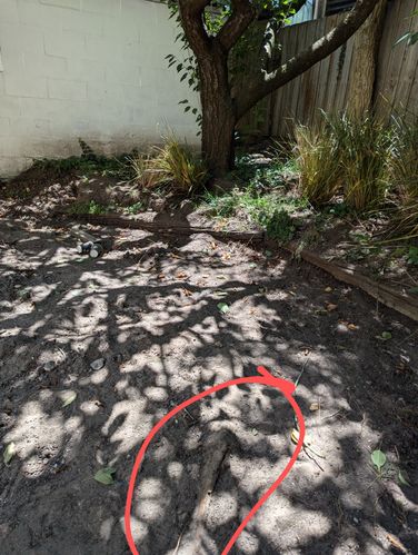 1000001958.jpg 1000001958.jpg