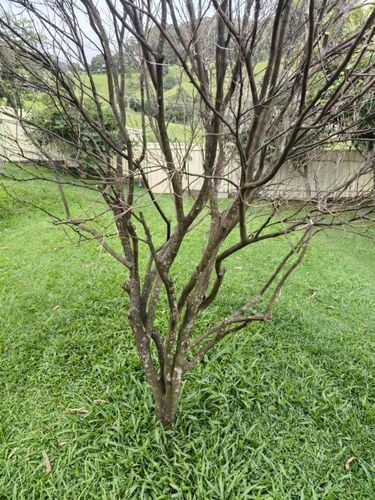 1000003581.jpg 1000003581.jpg