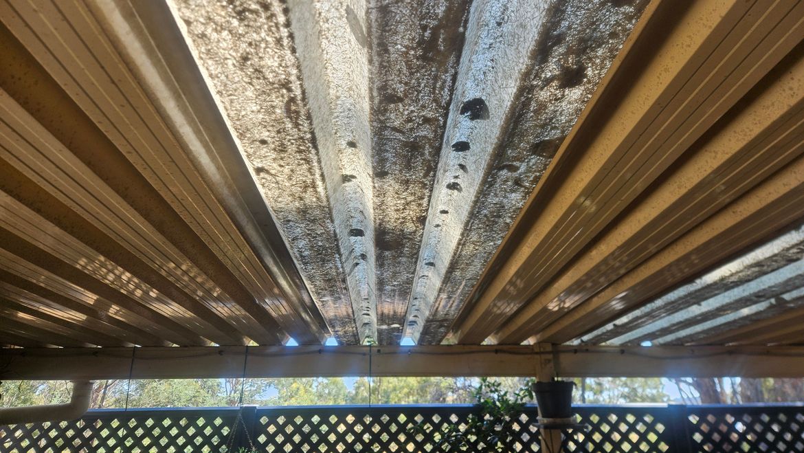 20260103_104423.jpg 20260103_104423.jpg