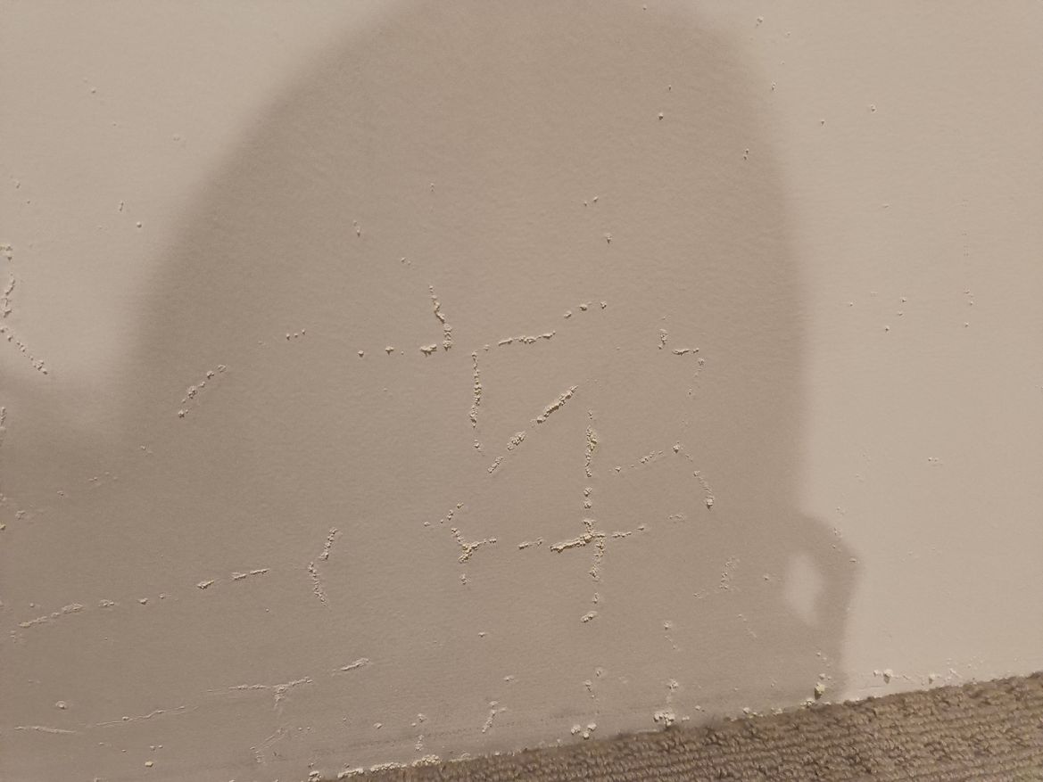 IMG20240722221116.jpg IMG20240722221116.jpg