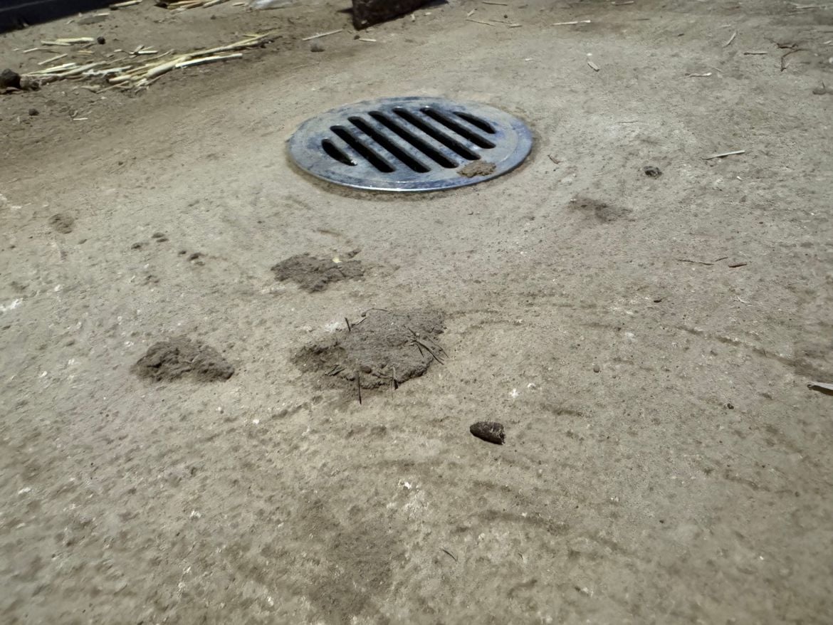 IMG_2443.jpeg IMG_2443.jpeg