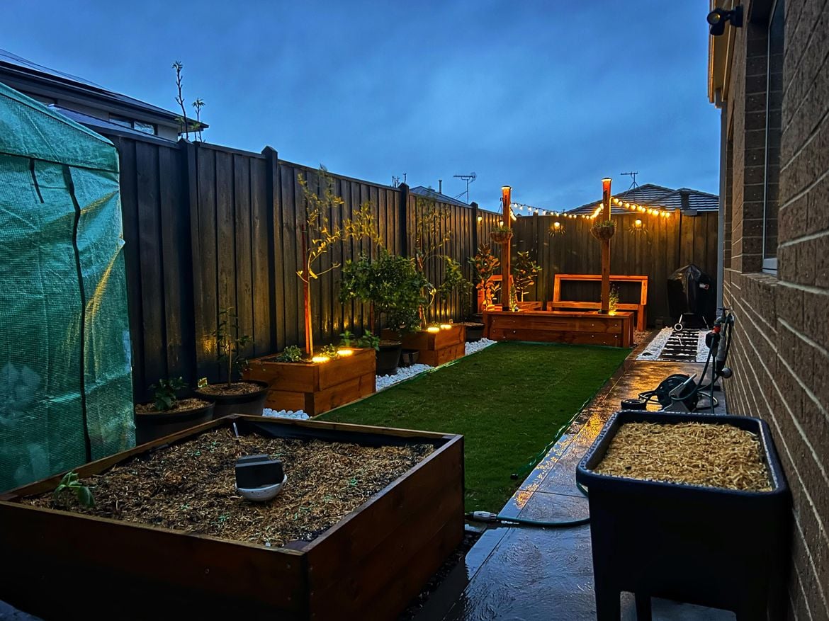 backyard 5.jpg backyard 5.jpg