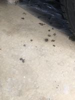 OldFloor.jpeg OldFloor.jpeg