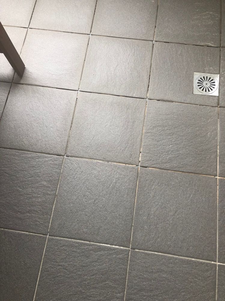 IMG_1055.jpg IMG_1055.jpg