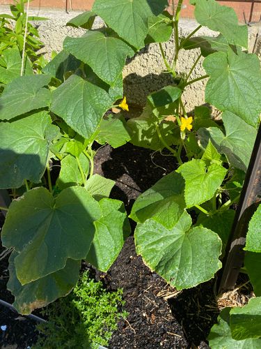 IMG_9780.jpeg IMG_9780.jpeg