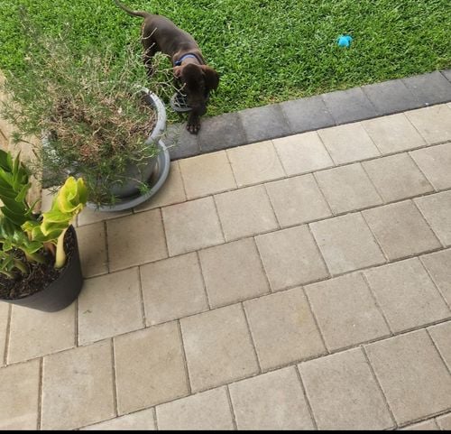 IMG_3216.jpeg IMG_3216.jpeg