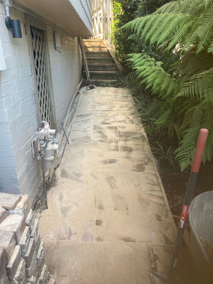 IMG_6788.jpeg IMG_6788.jpeg