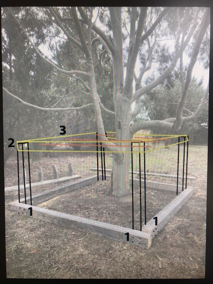 IMG_0160.JPEG IMG_0160.JPEG