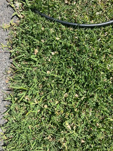 IMG_0227.jpeg IMG_0227.jpeg