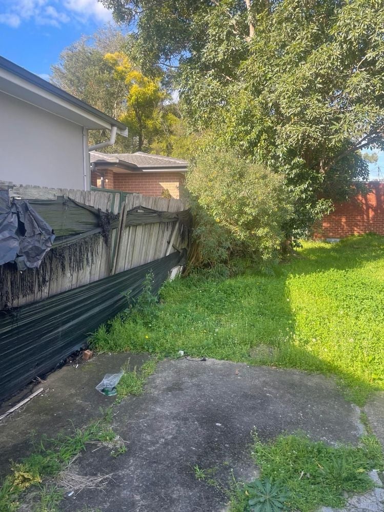 Media - 2025-09-20T124633.139.jpg Media - 2025-09-20T124633.139.jpg