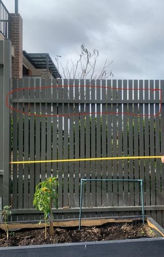 4E992B47-B9D5-4AF3-85DE-EFA48D2E66CF.jpeg 4E992B47-B9D5-4AF3-85DE-EFA48D2E66CF.jpeg