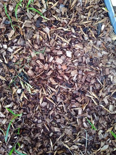 20240112_082153.jpg 20240112_082153.jpg