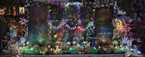 20230725_174831.jpg 20230725_174831.jpg