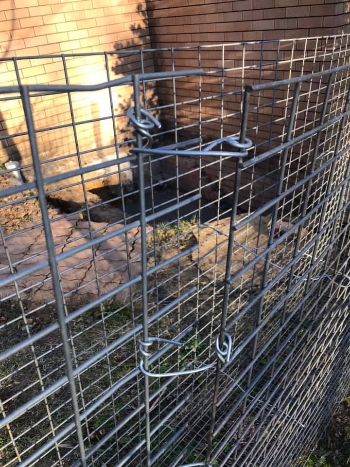 13 07-08-2021.jpg 13 07-08-2021.jpg