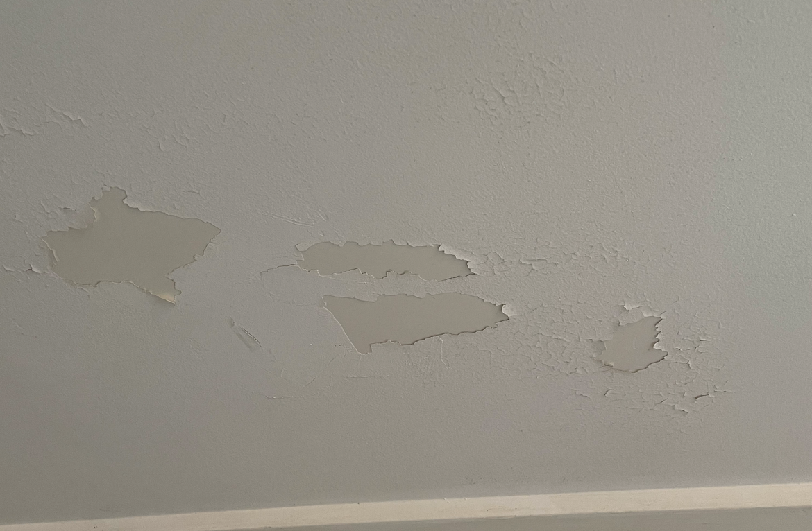 Screen Shot 2023-08-13 at 9.20.34 PM.png Screen Shot 2023-08-13 at 9.20.34 PM.png