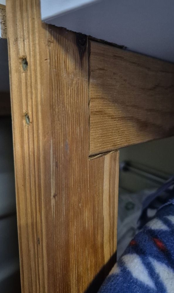 IMG_20250312_183359.jpg IMG_20250312_183359.jpg