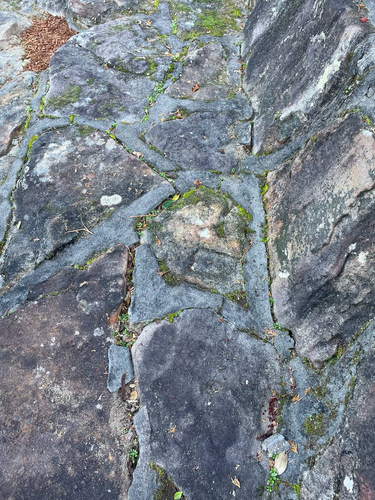 terrywang_0-1687228968923.png terrywang_0-1687228968923.png