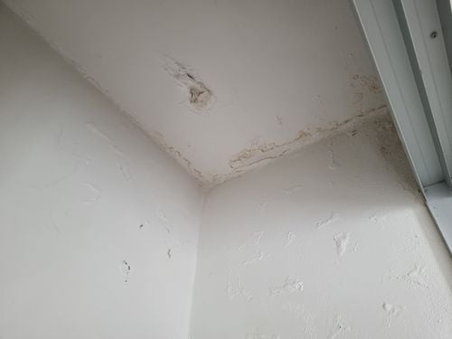 20210317_140725.jpg 20210317_140725.jpg