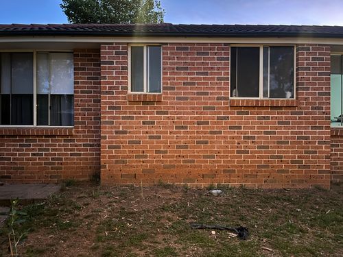 IMG_2823.jpeg IMG_2823.jpeg