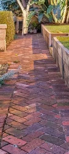 IMG_9688.jpeg IMG_9688.jpeg