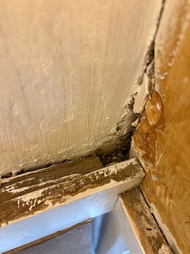 IMG_1472.jpeg IMG_1472.jpeg