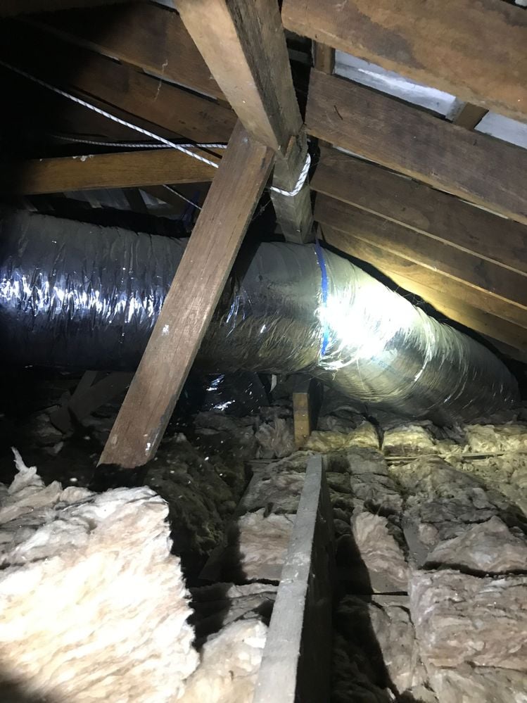 IMG_6013.JPG IMG_6013.JPG