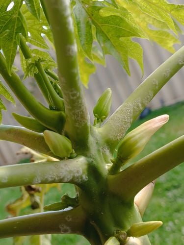 IMG_20250816_131236.jpg IMG_20250816_131236.jpg