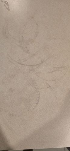 1000055492.jpg 1000055492.jpg