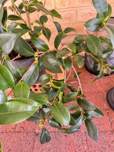 IMG_8920.jpeg IMG_8920.jpeg