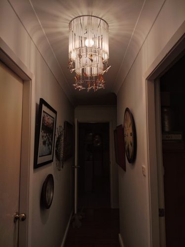 333 07-06-2025.jpg 333 07-06-2025.jpg