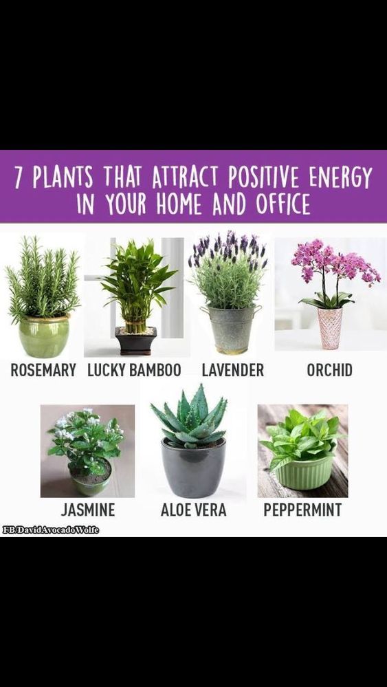 F60E2521-946B-47EA-8C9F-DD87E5C49BF0.jpeg F60E2521-946B-47EA-8C9F-DD87E5C49BF0.jpeg