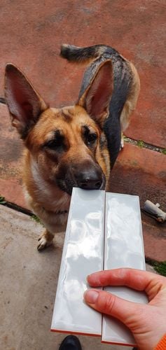 20220721_113016.jpg 20220721_113016.jpg