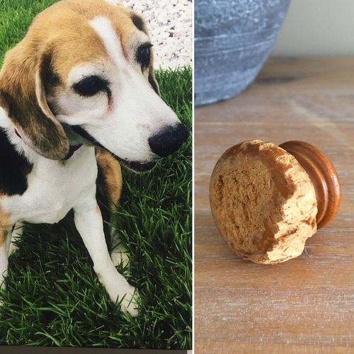 BAA3BE6B-441C-4065-A5BD-506865A692F0.jpeg BAA3BE6B-441C-4065-A5BD-506865A692F0.jpeg