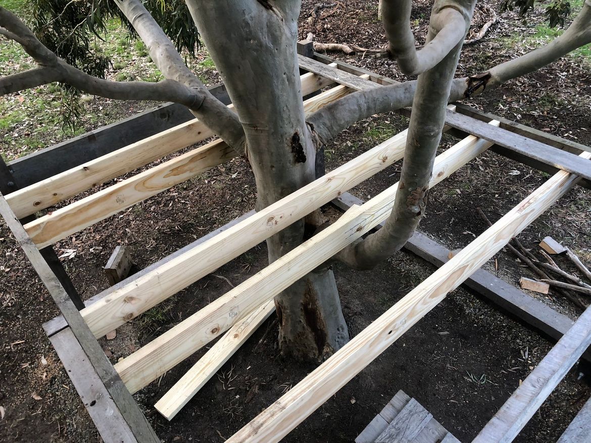 IMG_0646.JPEG IMG_0646.JPEG