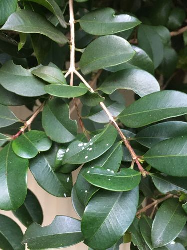 6B03F2C4-6F62-4285-A4DC-3FB975441D0A.jpeg 6B03F2C4-6F62-4285-A4DC-3FB975441D0A.jpeg