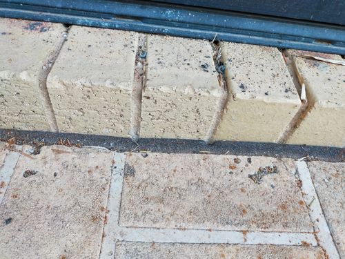 IMG20221114193340.jpg IMG20221114193340.jpg