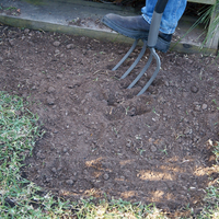 2.1 Remove grass and deeply aerate with fork.png 2.1 Remove grass and deeply aerate with fork.png