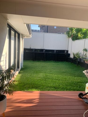 IMG_0050.jpeg IMG_0050.jpeg