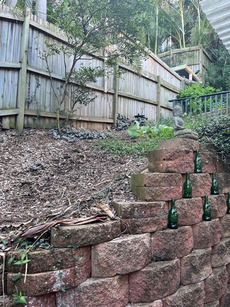 IMG_4659.jpg IMG_4659.jpg